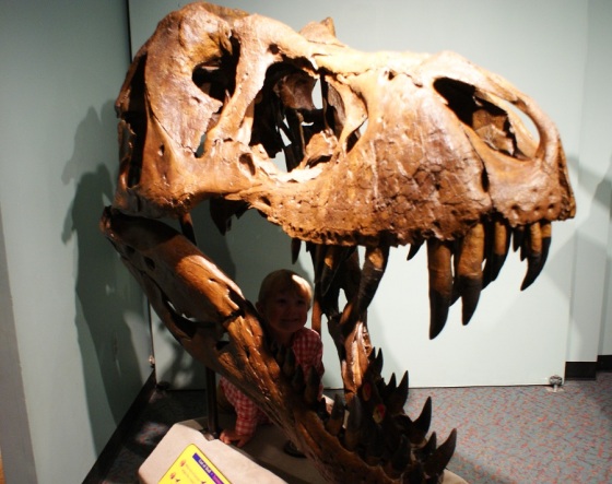 Academy of Natural Sciences_T Rex